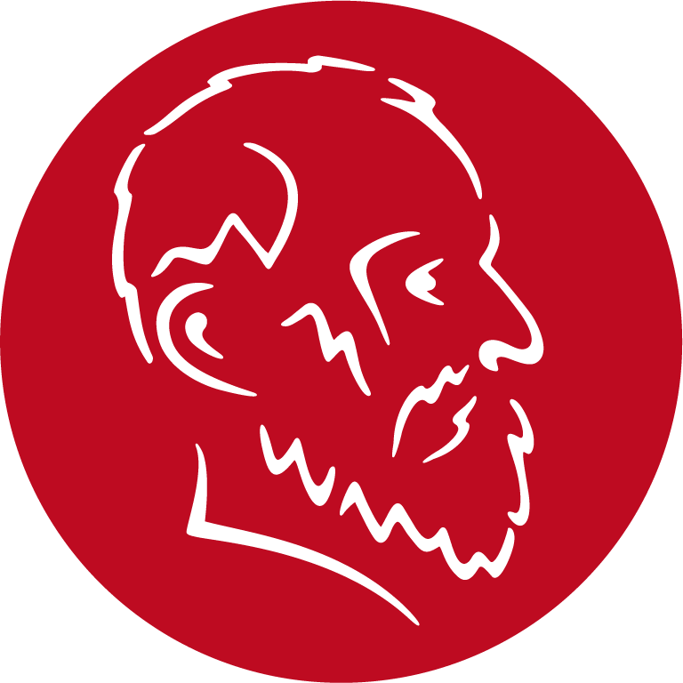NurKopf4
